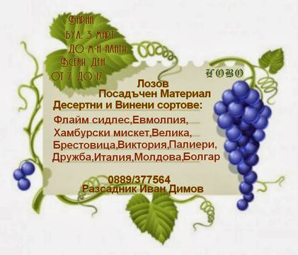 Овощен Разсадник „Иван Димов“ град Варна