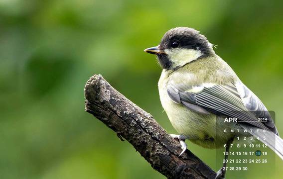 10 събития през април 2014, които не трябва да пропускате