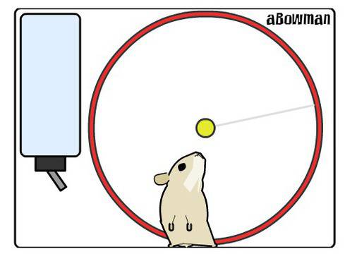 Хамстер – Виртуален домашен любимец – Фейсбук Мания – Facebook Mania!