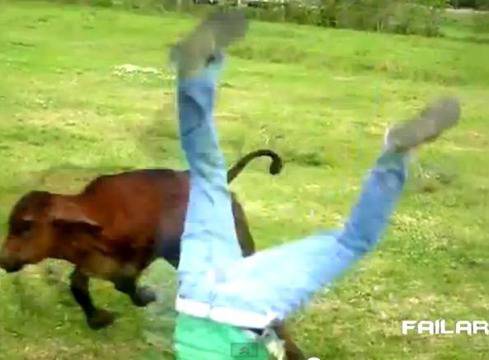 14 забавни гифчета с първоаприлски шеги