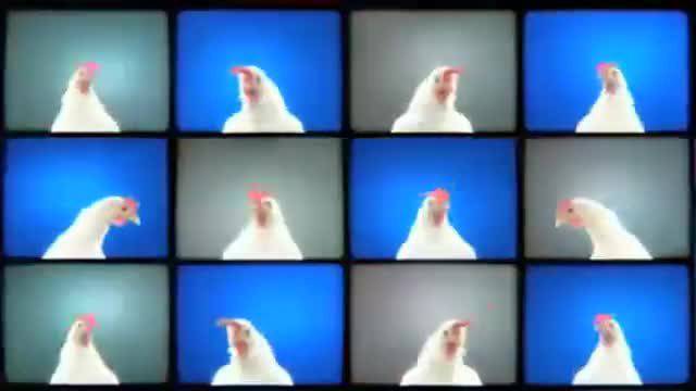 Честита Цветница 2014! – Techno Chicken Remix