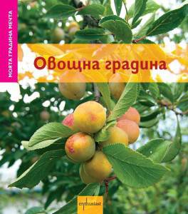 Моята овощна градина