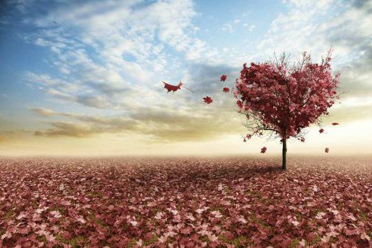 10 тайни на любовта, обяснени от науката