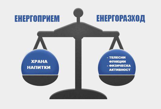 Горене на калории и топене на мазнини – има ли разлика и каква е тя?