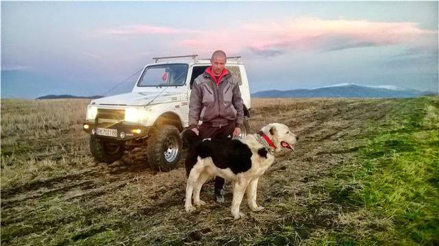 КАРАБАШ – СИН НА ГАРИК Средноазиатска овчарка-алабай АЛАБАЙ