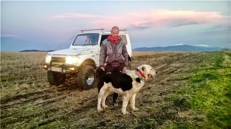 sredno aziatska ovcharka