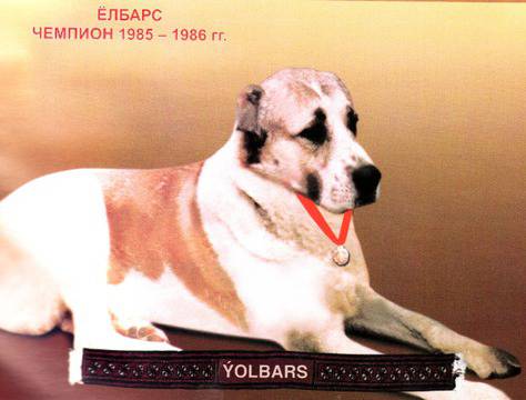 ШАМПИОНИ (АЛАБАЙ) Средноазиатска овчарка-алабай АЛАБАЙ