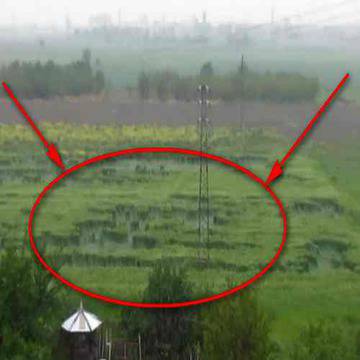 Паранормално! Тайнствени житни кръгове се появиха само за нощ в Пловдив!!! /ФОТО!/