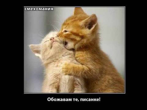 Камъните падат… падат сладка котаранке (kamanite padat)