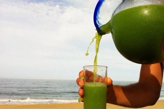 За зеленото смути от д-р Гайдурков