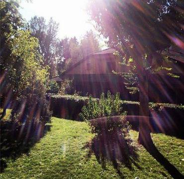 Николета Лозанова си показа палата (снимка) видяна 22882 коментари 29