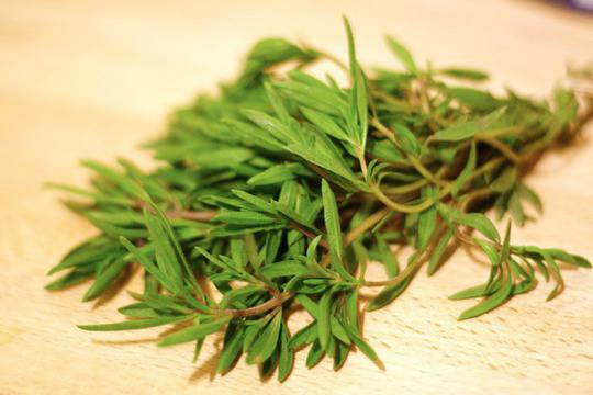 Рецепти на Ванга срещу главоболие