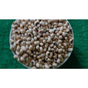 Бобът „черно око“