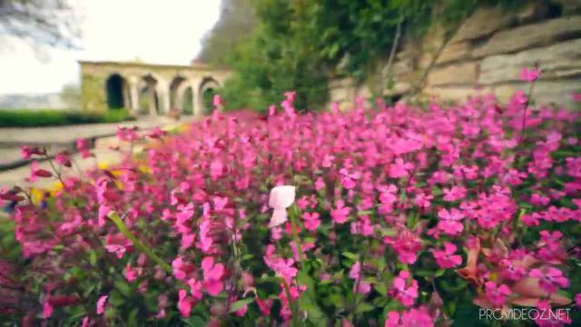 Двореца в Балчик – випуск 2014 Photo Session