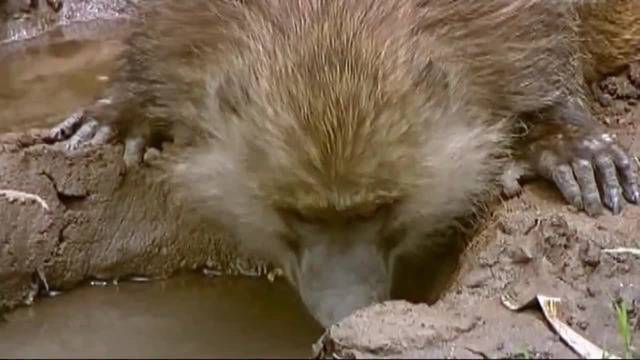 Красива е Земята в Космоса и Ние я Обичаме!