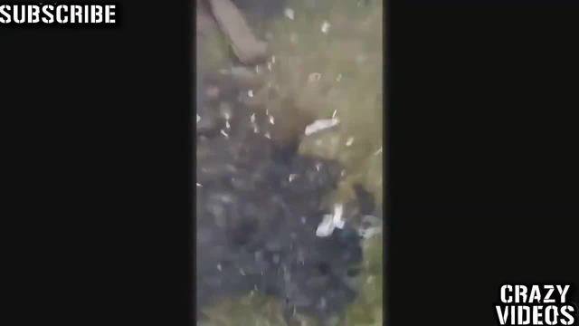 Най-добрите провали – Май 2014 Crazy funny