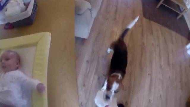 Куче сменя памперс на бебе!