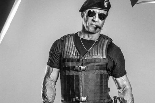 Сталоун: Не ходете в България, освен ако не искате да си изкарате жестоко!