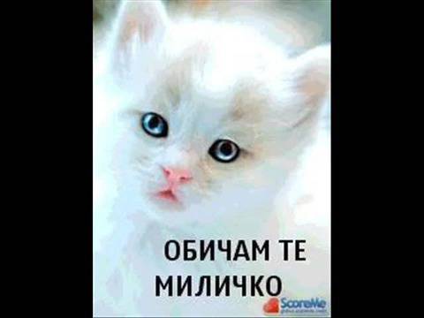 ЧЕСТИТ ИМЕН ДЕН МИЛА ЕЛИ 99