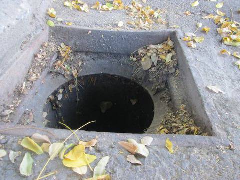 Борят плъховете в каналите с восъчни блокчета