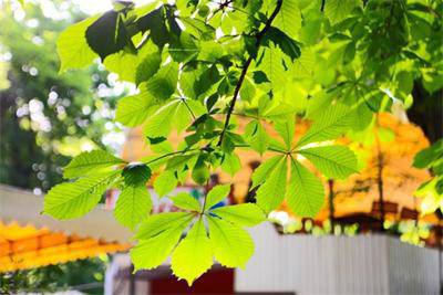 До 35° градуса през юни