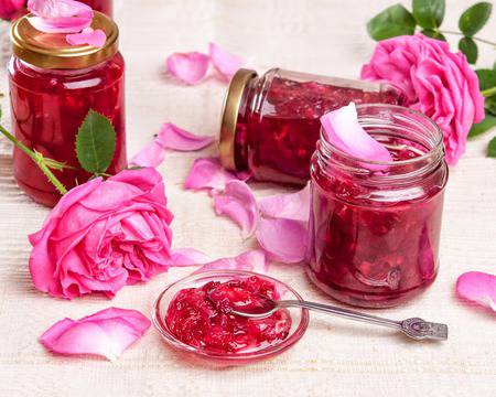 Супичка – пътеводител на новака в кухнята