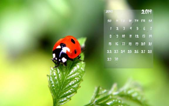 10 събития през юни 2014 г., които не трябва да пропускате