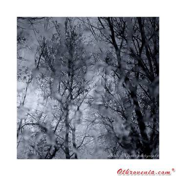 ico10 – Дъждовен блус – фото: Природа