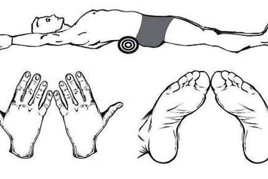 Упражнения за гръбнака