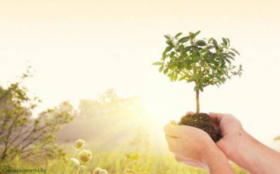 Днес е Световният ден на околната среда