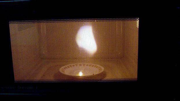 Какво не трябва да слагаме в микровълновата и защо (видео)