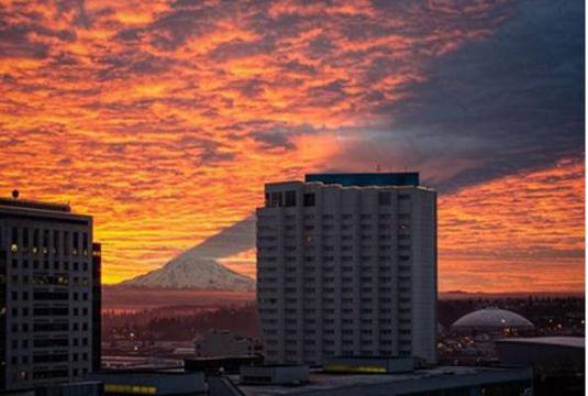 Тези невероятни снимки са напълно реални