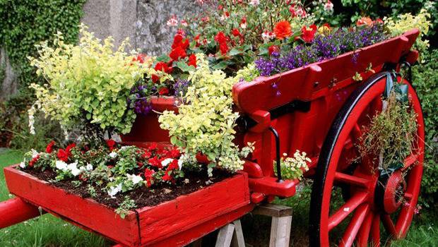 Нестандартни решения в градината