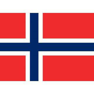 Знаме на Норвегия, с пръчка, 50 x 80 см