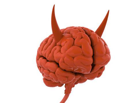 10 забавни факта, които ще събудят мозъка ви