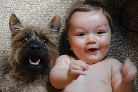 Кои са най-забавните зодии?