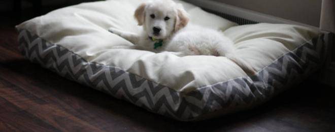 Как да направим легло за домашния любимец