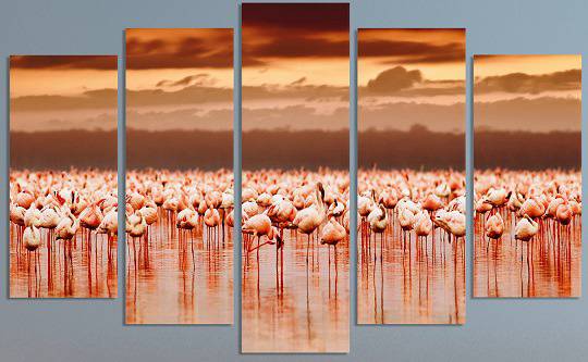 VIVID HOME. Декоративни панели за стена с екзотични птици