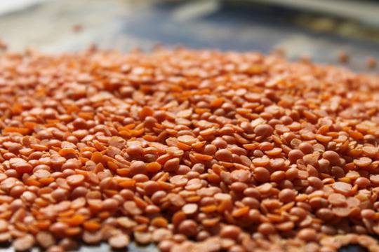 Топ 10 на суперхраните, които трябва да включим в менюто си (II част)