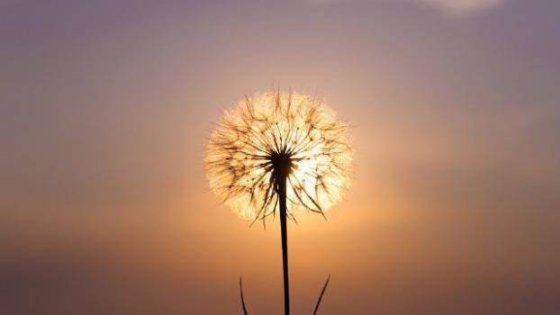 23 индийски мъдрости за духовен баланс