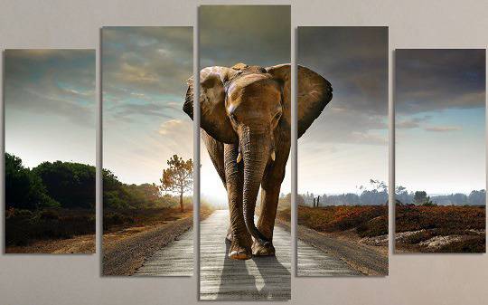 VIVID HOME. Декоративни панели за стена с илюстрация на слон