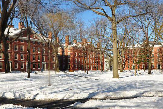 Кои са най-добрите университети в света