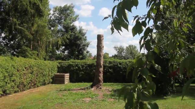 Как се прави орел от дърво с моторна резачка