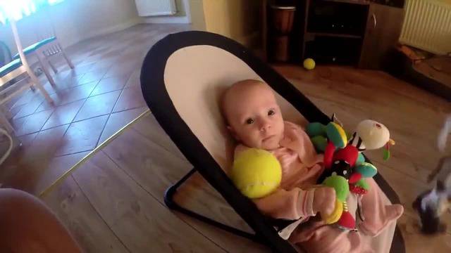 Куче си играе с бебе …носи му играчки