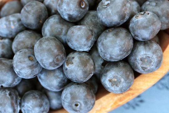 Всичко за боровинките