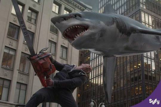 Акули вилнеят и в Ню Йорк