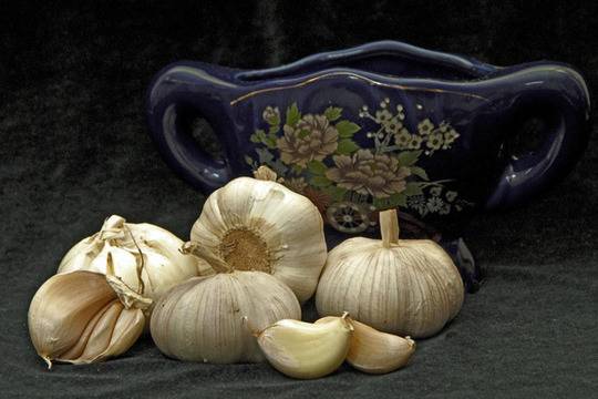 Паста от чесън при херпес, гъбички и брадавици