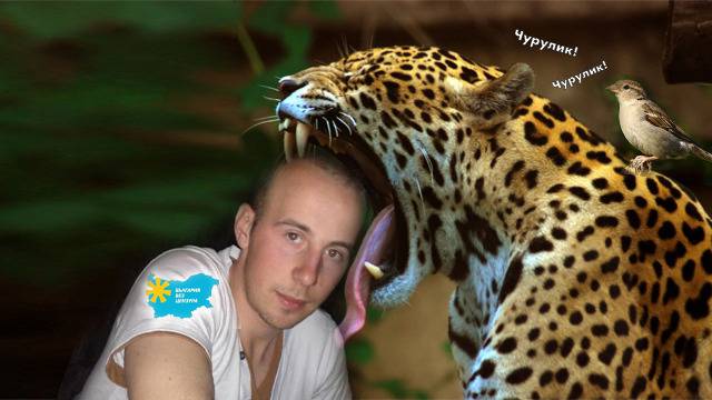 Какво ни чурулика врабчето?