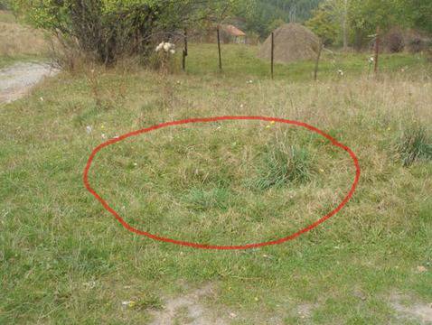 Смразяващо! Местни видяха призраци и извънземни около Царичина!!!