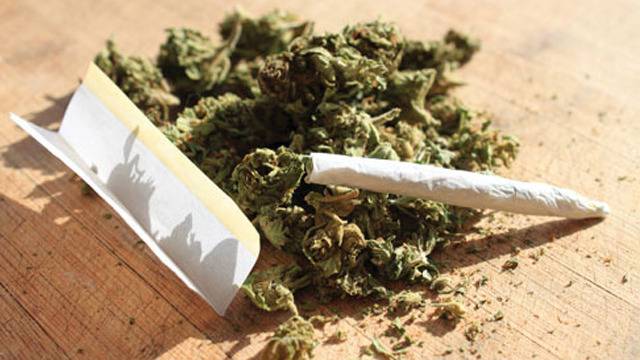 Задържаха мъж с марихуана